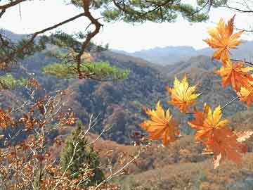 蔬菜价达近10年同期最高， 经济日报头版：菜价为何持续上涨