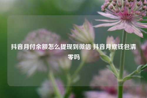 抖音月付额度怎么变现?教大家几个抖音月付提现技巧.效果杠杠的